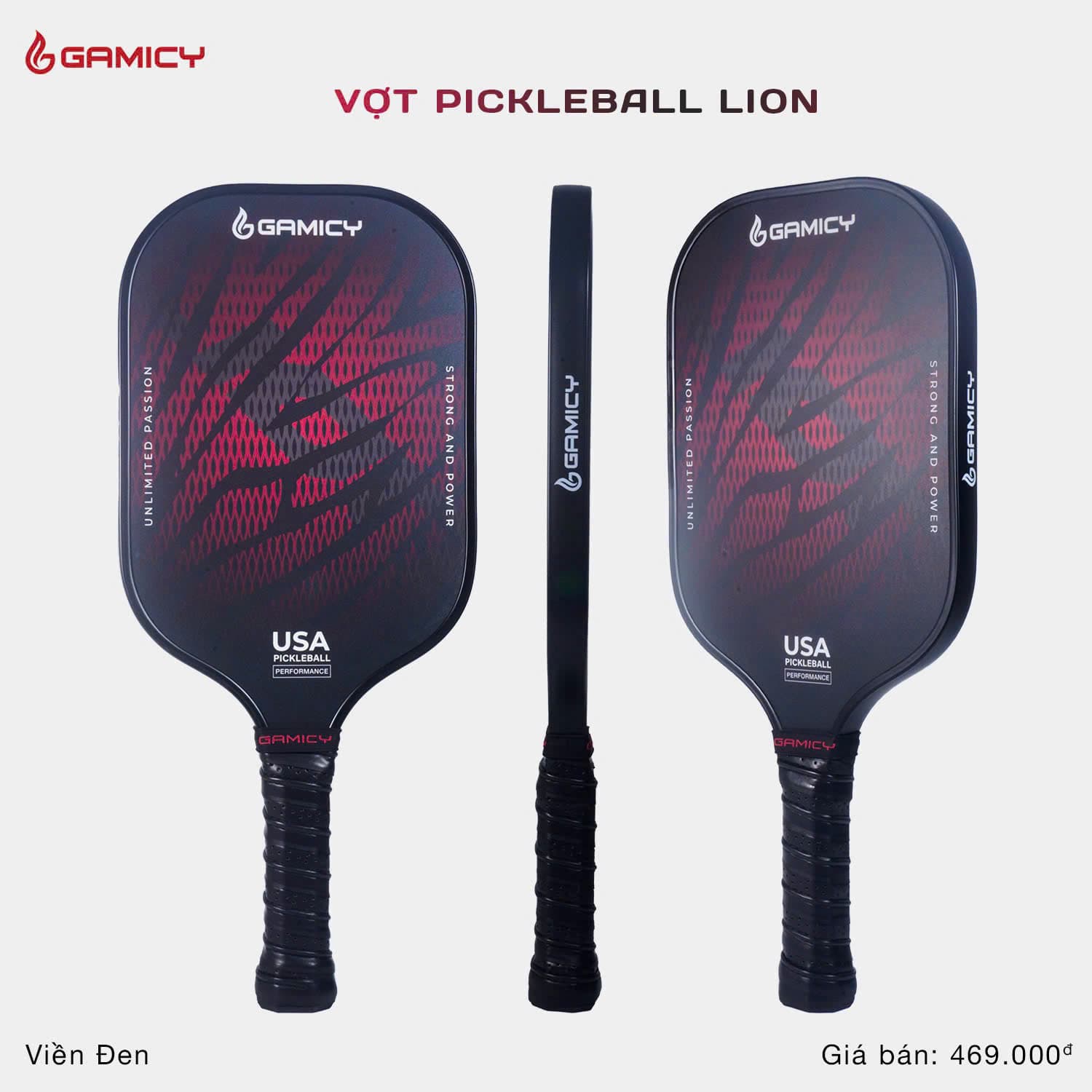 Vợt Pickleball Gamicy Lion